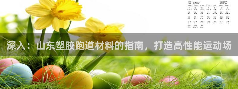 新2足球平台出租网站：深入：山东塑胶跑道材料的指南，打造高性能运动场