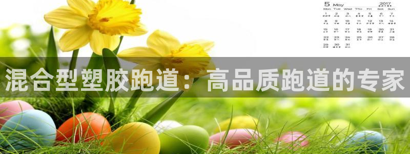 新2足球平台出租网站：混合型塑胶跑道：高品质跑道的专家
