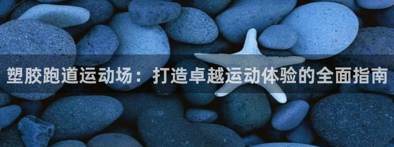 红足1一世 2站：塑胶跑道运动场：打造卓越运动体验的全面指南