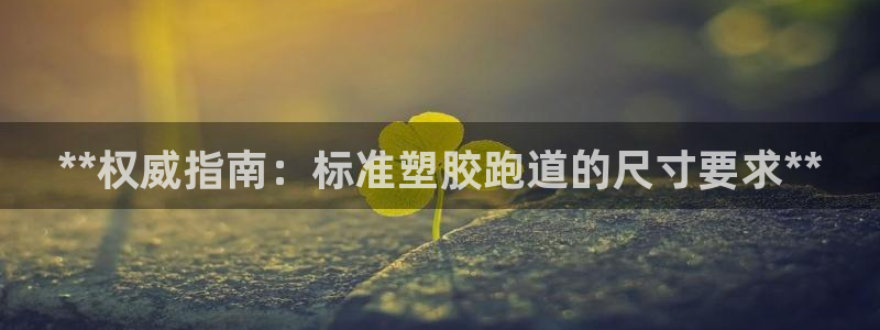 红足一1世皇冠登录：**权威指南：标准塑胶跑道的尺寸要求**