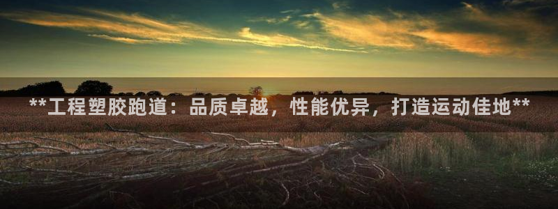 红足1世1站2站管理网：**工程塑胶跑道：品质卓越，性能优异，打造运动佳地**