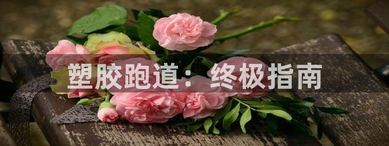红足网足球直播：塑胶跑道：终极指南