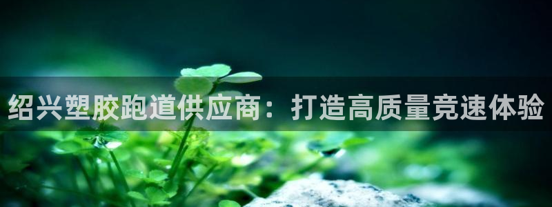 百度红足一1视频在线观看