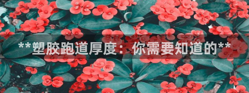 红足一一世：**塑胶跑道厚度：你需要知道的**