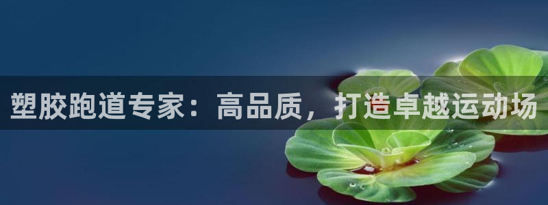 红足一1世官网比分：塑胶跑道专家：高品质，打造卓越运动场