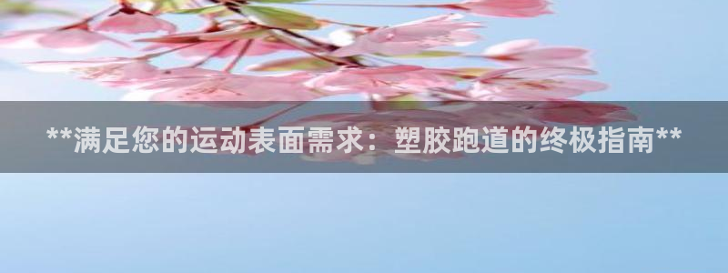 红足一丰：**满足您的运动表面需求：塑胶跑道的终极指南**