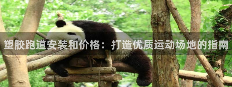 红足一1世皇冠登录：塑胶跑道安装和价格：打造优质运动场地的指南