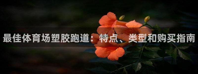 百度红足一1是干什么的：最佳体育场塑胶跑道：特点、类型和购买指南