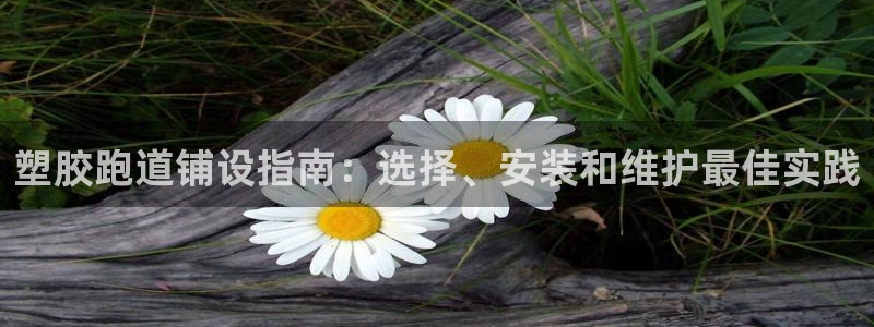 红足一1世手机版赛果：塑胶跑道铺设指南：选择、安装和维护最佳实践