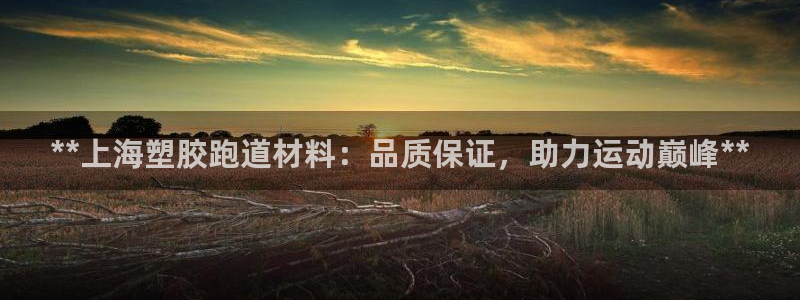 红足一1世皇冠登录：**上海塑胶跑道材料：品质保证，助力运动巅峰**