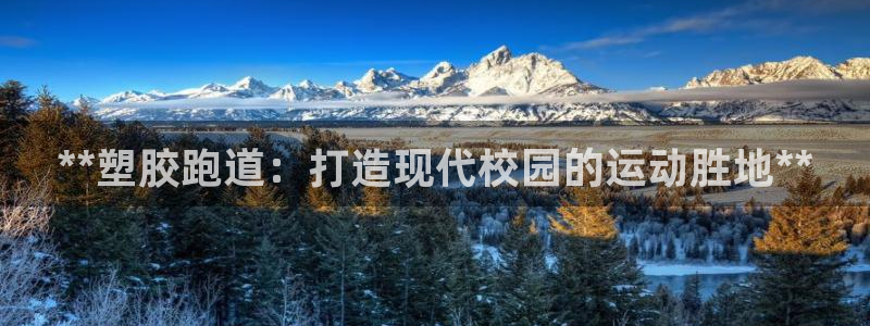 红足一1世皇冠：**塑胶跑道：打造现代校园的运动胜地**