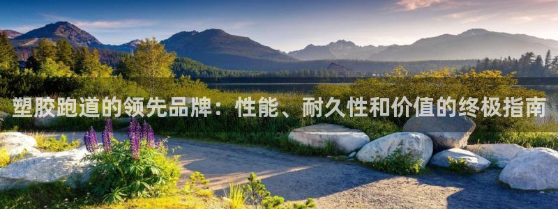 66814红足：塑胶跑道的领先品牌：性能、耐久性和价值的终极指南