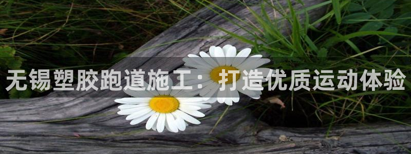 红足一1世手机版新皇冠：无锡塑胶跑道施工：打造优质运动体验