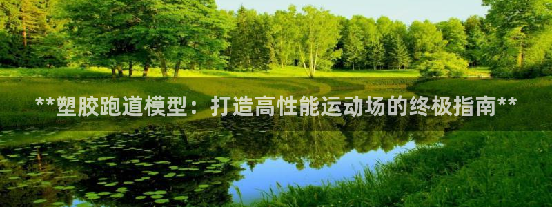 红足一生世：**塑胶跑道模型：打造高性能运动场的终极指南**