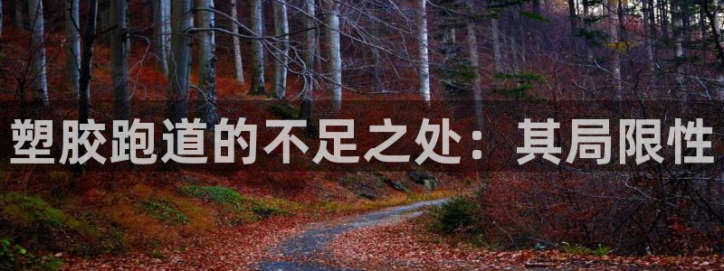 777814红·足一世：塑胶跑道的不足之处：其局限性