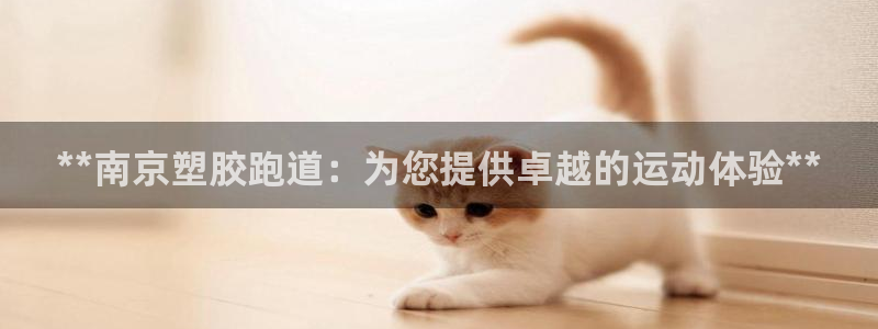 红足一1世比分球探：**南京塑胶跑道：为您提供卓越的运动体验**