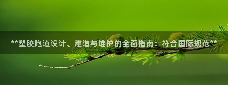 百度红足一1视频在线观看：**塑胶跑道设计、建造与维护的全面指南：符合国际规范**