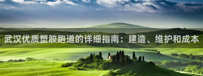 红足一一世：武汉优质塑胶跑道的详细指南：建造、维护和成本