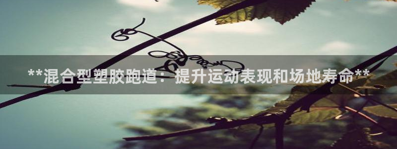 红足一1世官网足球推荐真人：**混合型塑胶跑道：提升运动表现和场地寿命**