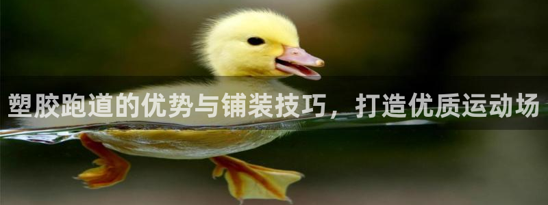 红足一1世手机版赛果：塑胶跑道的优势与铺装技巧，打造优质运动场