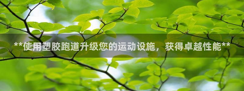 红足一：**使用塑胶跑道升级您的运动设施，获得卓越性能**