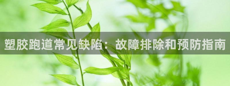 红足一1世77814：塑胶跑道常见缺陷：故障排除和预防指南