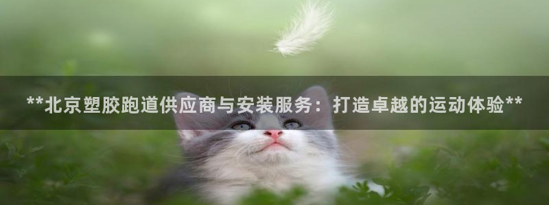 红足一1世66814新宝：**北京塑胶跑道供应商与安装服务：打造卓越的运动体验**