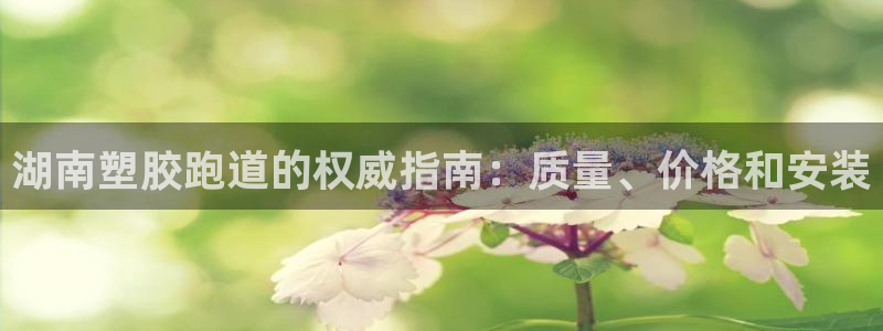 红足1世手足球比分：湖南塑胶跑道的权威指南：质量、价格和安装