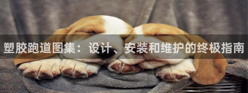 红足一一世：塑胶跑道图集：设计、安装和维护的终极指南