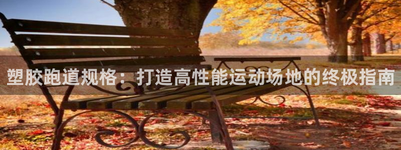 红足一生世：塑胶跑道规格：打造高性能运动场地的终极指南