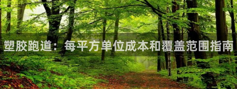 红足1世足球网址大全：塑胶跑道：每平方单位成本和覆盖范围指南