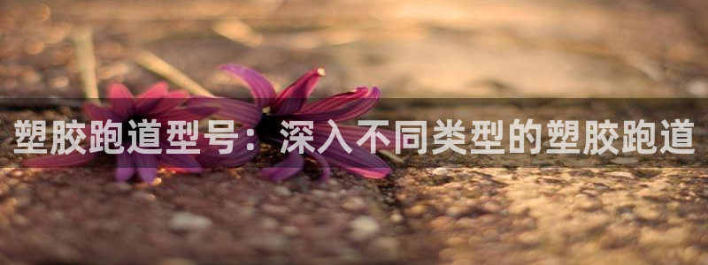 66814红足一66814世：塑胶跑道型号：深入不同类型的塑胶跑道