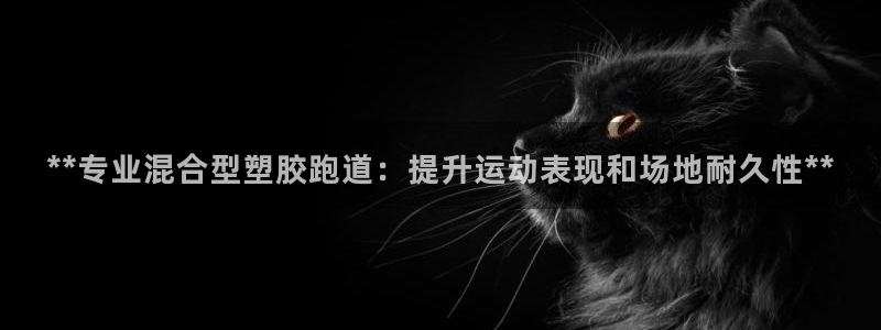 红足一1世比分球探：**专业混合型塑胶跑道：提升运动表现和场地耐久性**