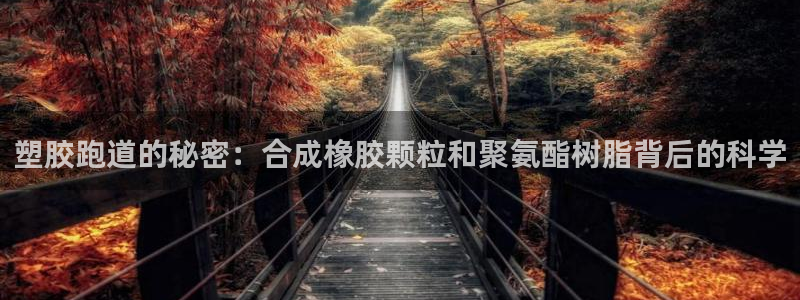红足1世1站2站管理网：塑胶跑道的秘密：合成橡胶颗粒和聚氨酯树脂背后的科学
