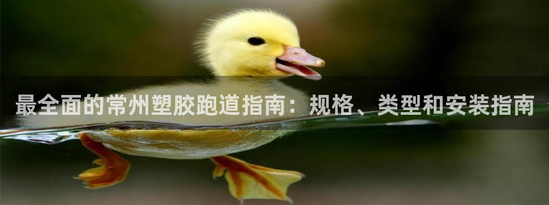 红足一1世皇冠地址：最全面的常州塑胶跑道指南：规格、类型和安装指南