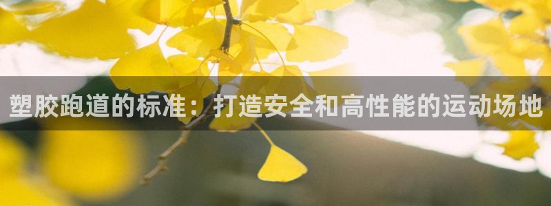 红足一1世皇冠登录：塑胶跑道的标准：打造安全和高性能的运动场地