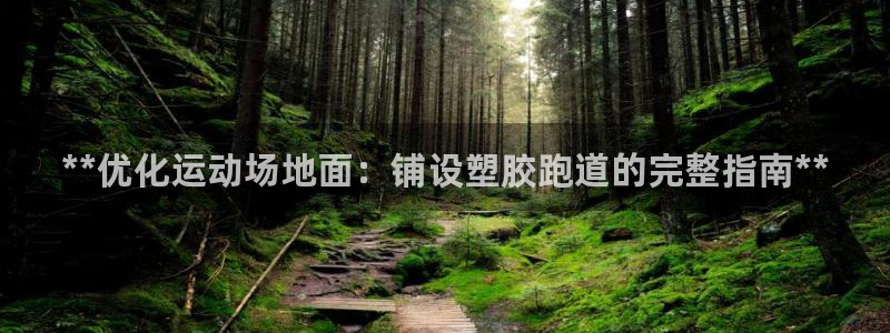 红足i世足球手机网：**优化运动场地面：铺设塑胶跑道的完整指南**