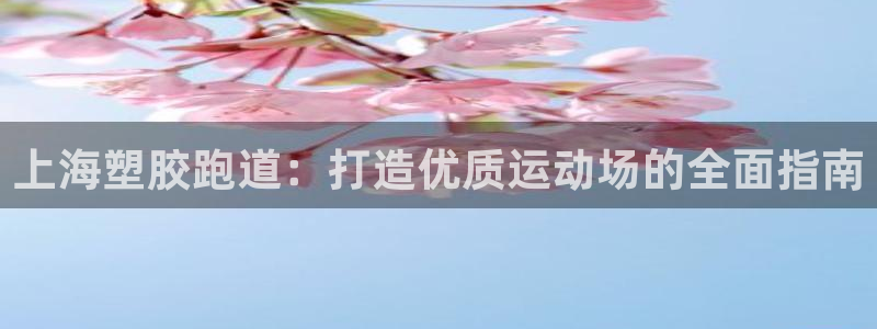 红足1世1站：上海塑胶跑道：打造优质运动场的全面指南
