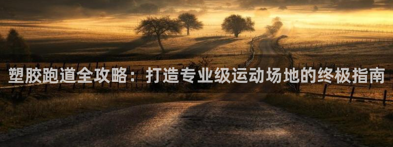 红足一1世666814足球比分网：塑胶跑道全攻略：打造专业级运动场地的终极指南