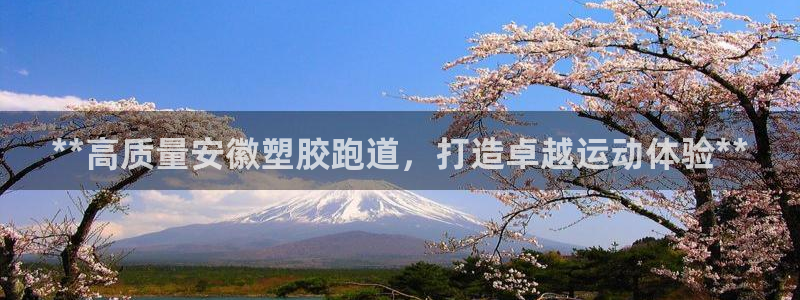 红足一1世：**高质量安徽塑胶跑道，打造卓越运动体验**