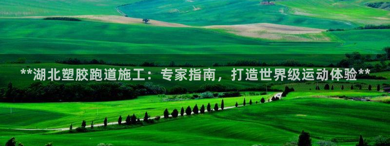 红足一丰：**湖北塑胶跑道施工：专家指南，打造世界级运动体验**