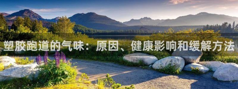 红足一1世手机开奖：塑胶跑道的气味：原因、健康影响和缓解方法
