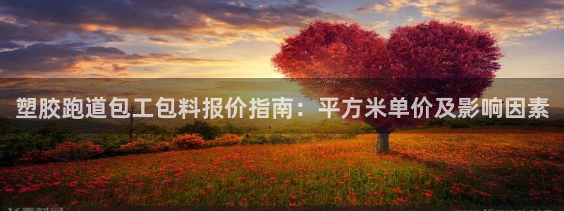 红足1世足球：塑胶跑道包工包料报价指南：平方米单价及影响因素
