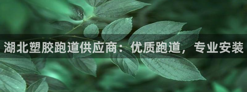 红足一球：湖北塑胶跑道供应商：优质跑道，专业安装