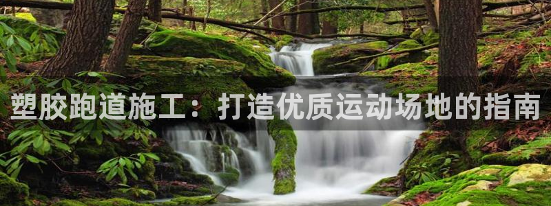 红足1世手机版下载：塑胶跑道施工：打造优质运动场地的指南