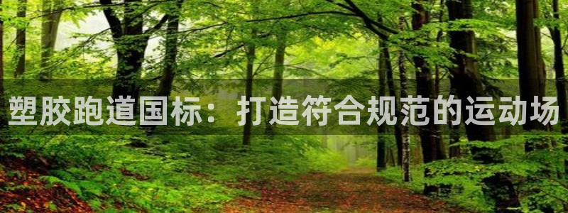 红足一1世77814：塑胶跑道国标：打造符合规范的运动场