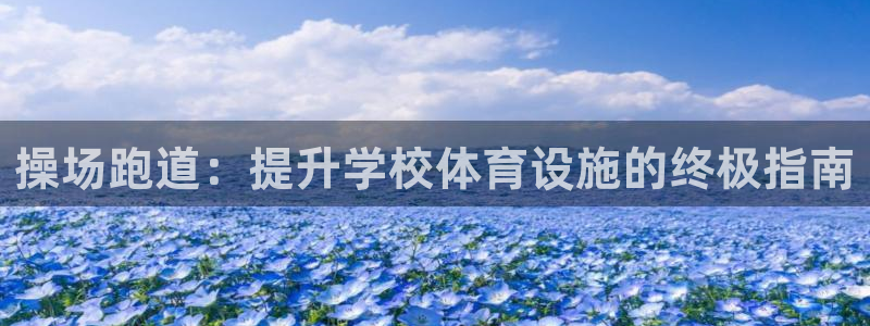 百度红足一1是什么样子的：操场跑道：提升学校体育设施的终极指南