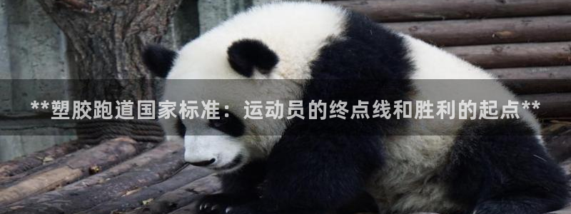 红足一1世平台