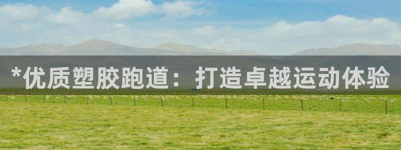 777814红·足一世比分篮球：*优质塑胶跑道：打造卓越运动体验
