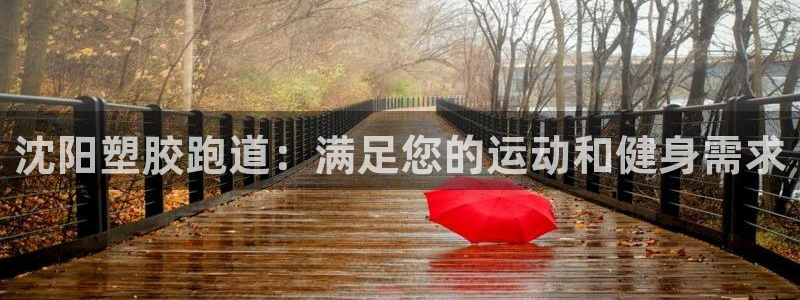 百度红足一1视频在线观看：沈阳塑胶跑道：满足您的运动和健身需求